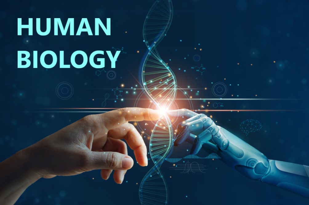 Level 3 Certificate in Human Biology & Electrical Science: External Assessment Human Biology